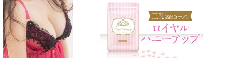 ���C�����n�j�[�A�b�v���T�C�g